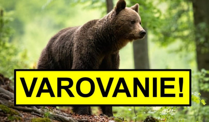 Fotka - Vyhlásenie MIMORIADNEJ SITUÁCIE v okrese Svidník - výskyt medveďa  hnedého