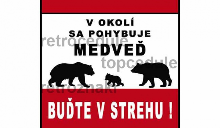 Fotka - POZOR -v našich lesoch sa pohybuje medveď